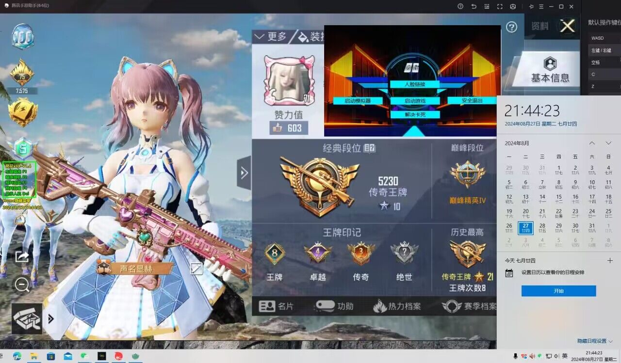 手机和平精英辅助透视
